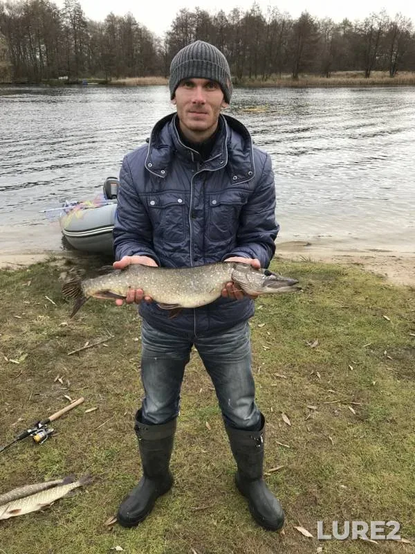 Pike — Voronezh, Nov 04, 2018