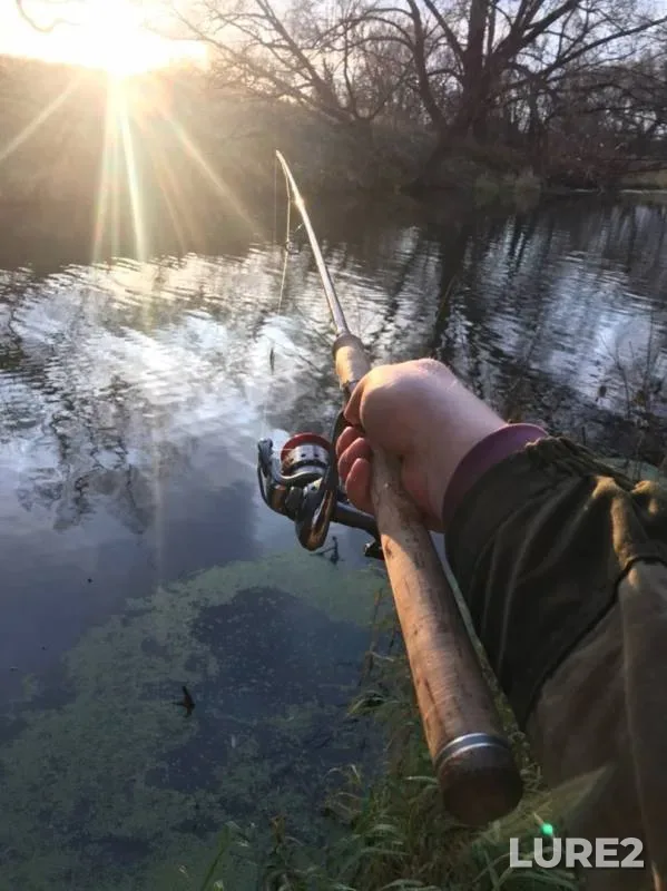 Pike — Vashana, Oct 29, 2019
