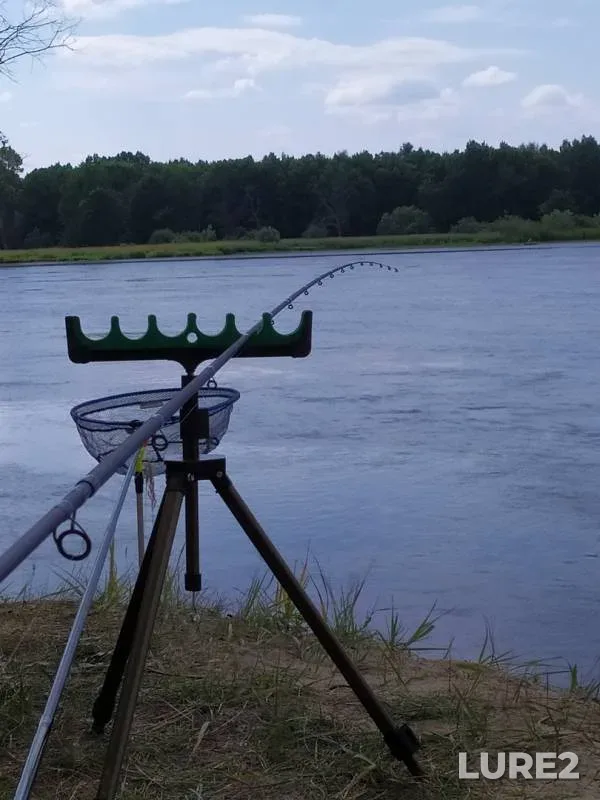 Bream, Ide — Vetluga, Jul 28, 2019