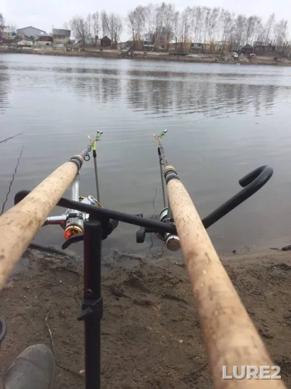 Bream, Perch — Moskva, Mar 30, 2019