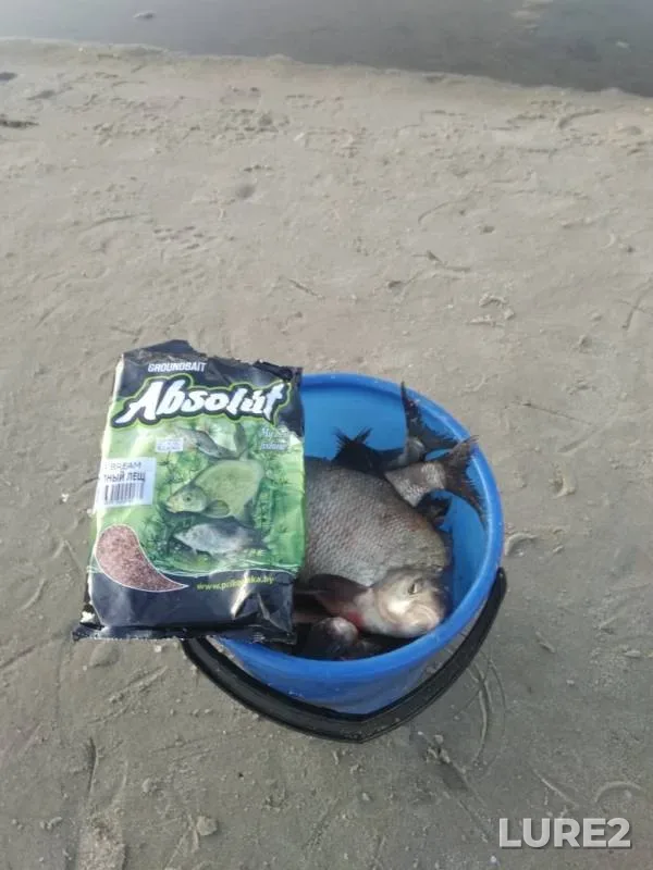 Bream — Matsovka, Aug 23, 2019