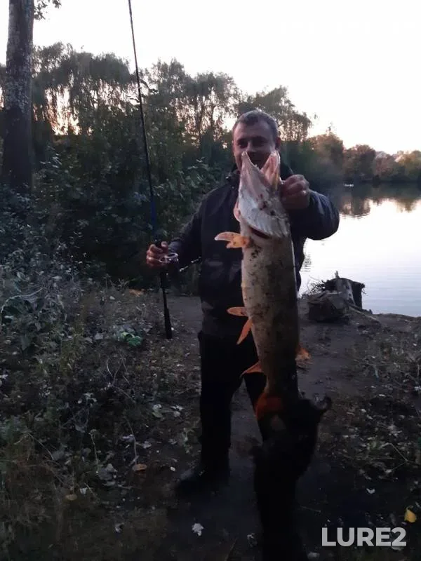 Pike — Seym, Sep 23, 2019