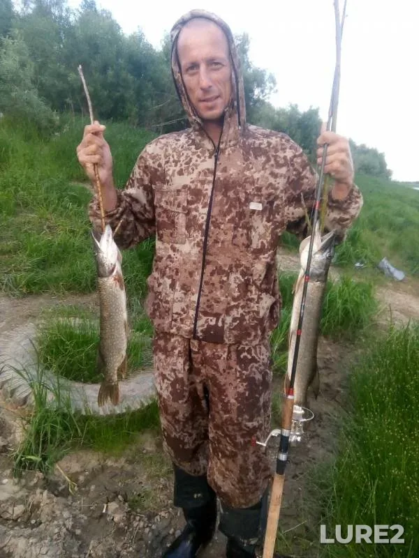 Pike — Tomskaya oblast, Aug 07, 2019