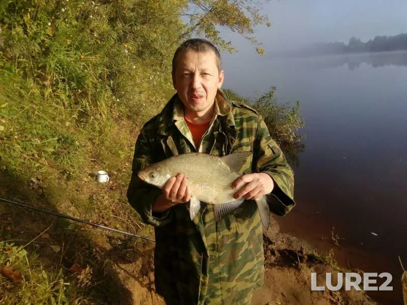 Bream — Kirovskaya oblast, Sep 05, 2019