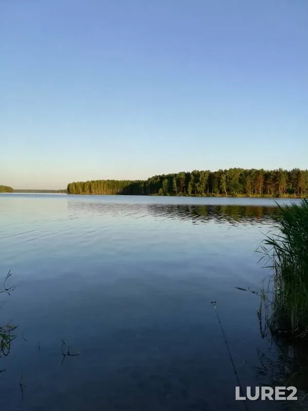 Bream — Desnogorskoye, Jun 21, 2018