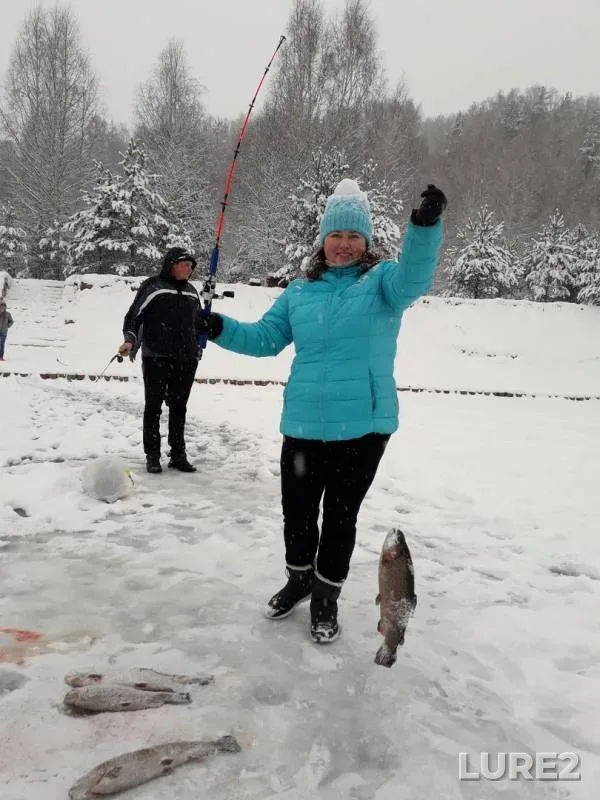 Rainbow trout — Obdyokh, Dec 23, 2018