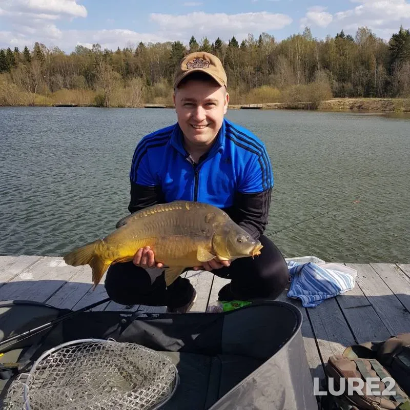 Carp — Strelka, May 04, 2019