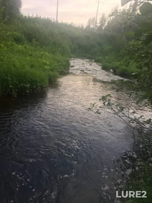 Pike — Volgo-Baltiyskiy kanal, Jun 10, 2019