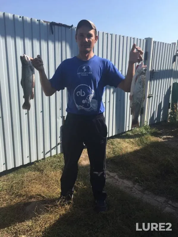 Carp — Zyabeyka, Sep 14, 2019