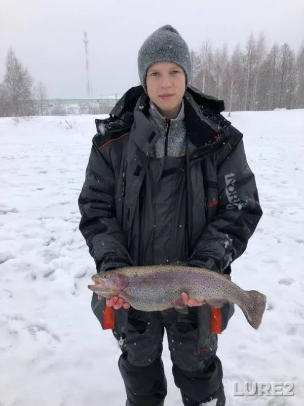 Rainbow trout — Rechma, Feb 06, 2019