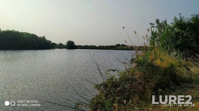 Carp — Donetska oblast, Jul 29, 2019