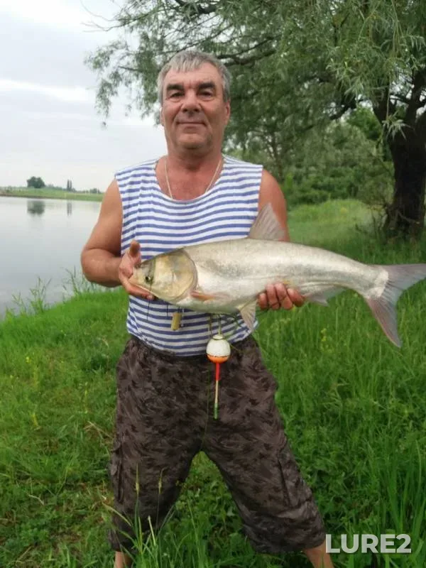 Bream, Pike — Respublika Adygeya, Teuchezhskiy rayon, May 25, 2019
