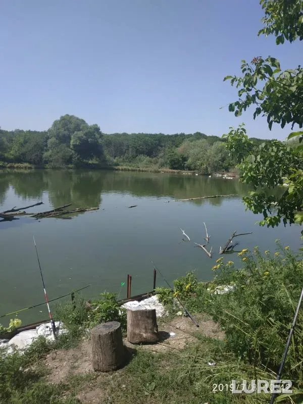 Carp — Chamlyk, Jul 10, 2019