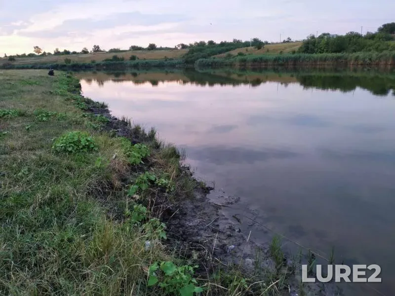 Bream, Roach — Beysuzhyok Levyy, Jul 15, 2019