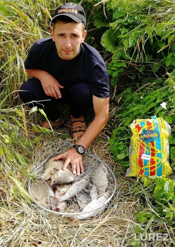 Crucian carp — Don, Jul 08, 2019