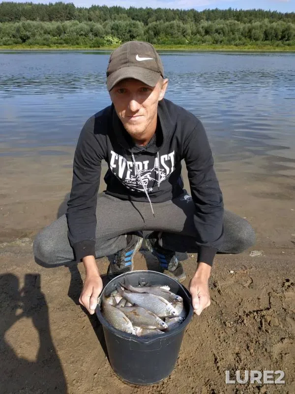 Bream, White bream — Oka, Aug 14, 2018
