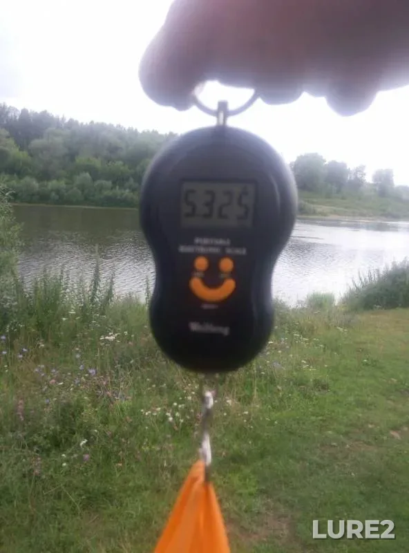 Bream — Oka, Jul 18, 2019