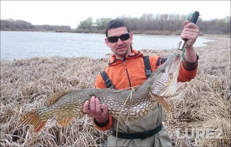 Pike — Akhtuba, Mar 12, 2016