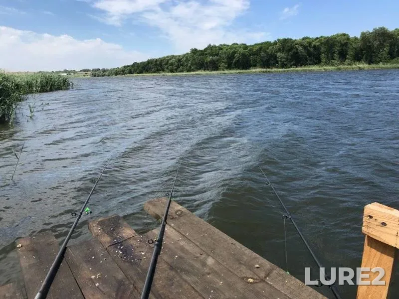 Carp — Dnіpropetrovska oblast, Jun 05, 2018