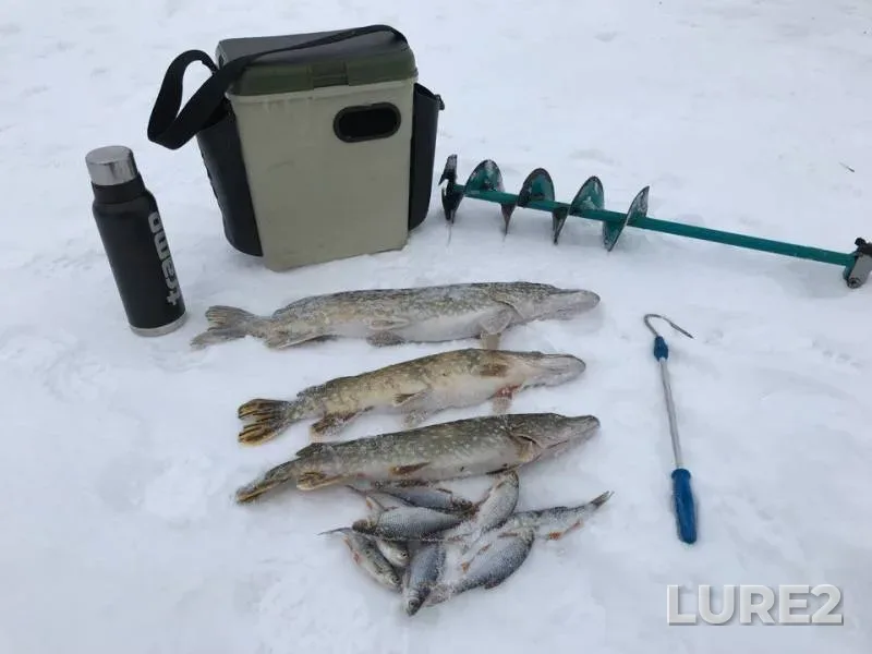 Pike, Roach — Dnіpropetrovska oblast, Jan 28, 2018