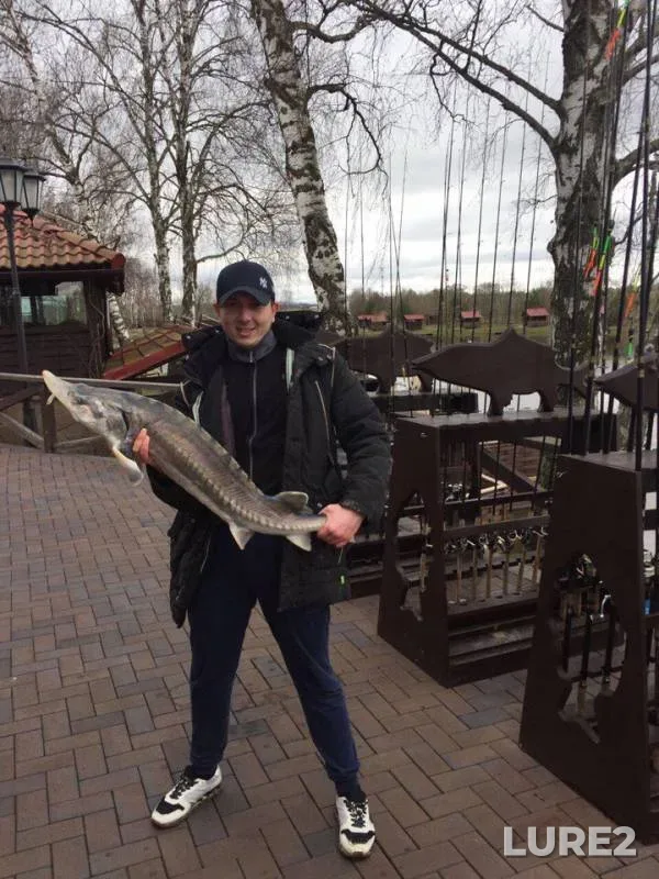 Pike — Moskovskaya oblast, Apr 23, 2017