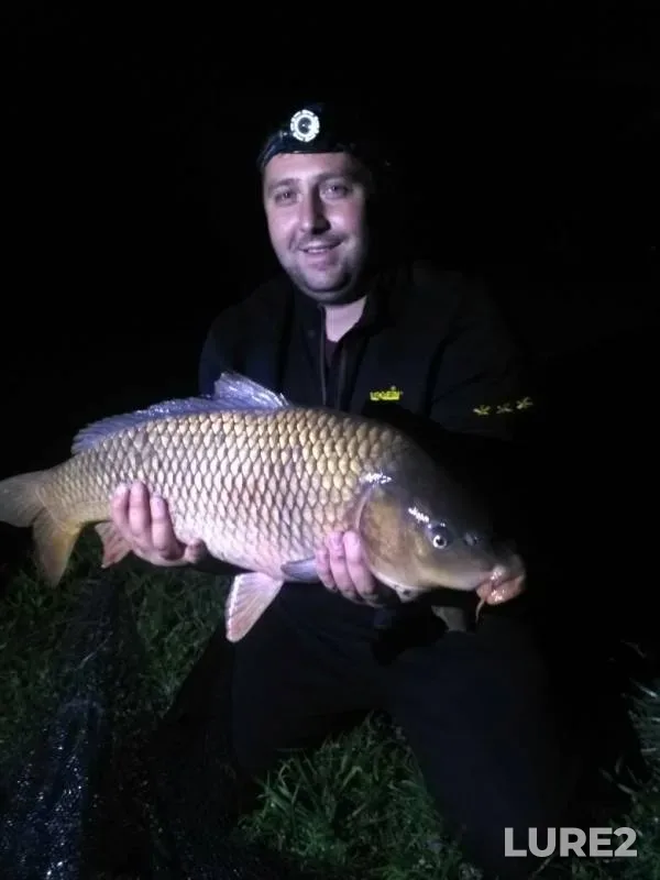 Carp — Gorodnitsa, Sep 10, 2019