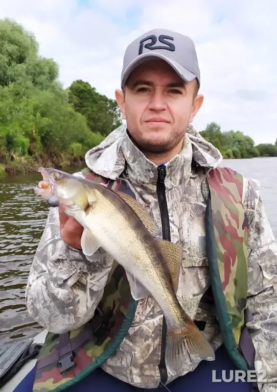 Perch, Zander — Brestskaya oblast, Stolinskiy rayon, Jul 24, 2019