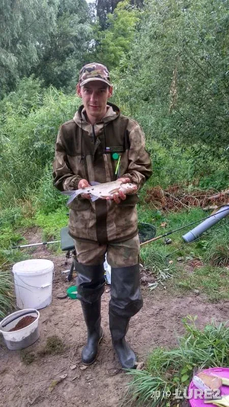 Bream, White bream — Yaselda, Jul 09, 2019