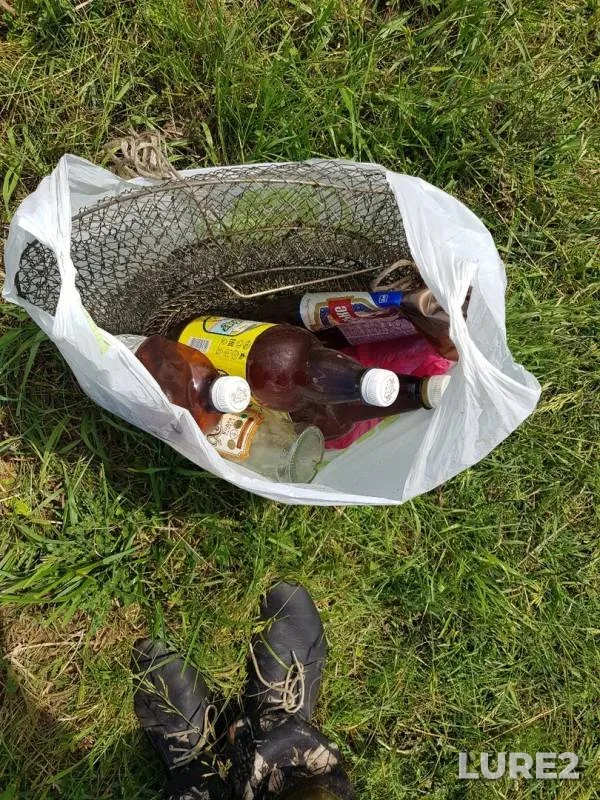 Crucian carp, Tench — Vedma, Jun 15, 2019