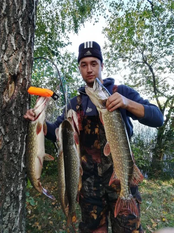 Щука