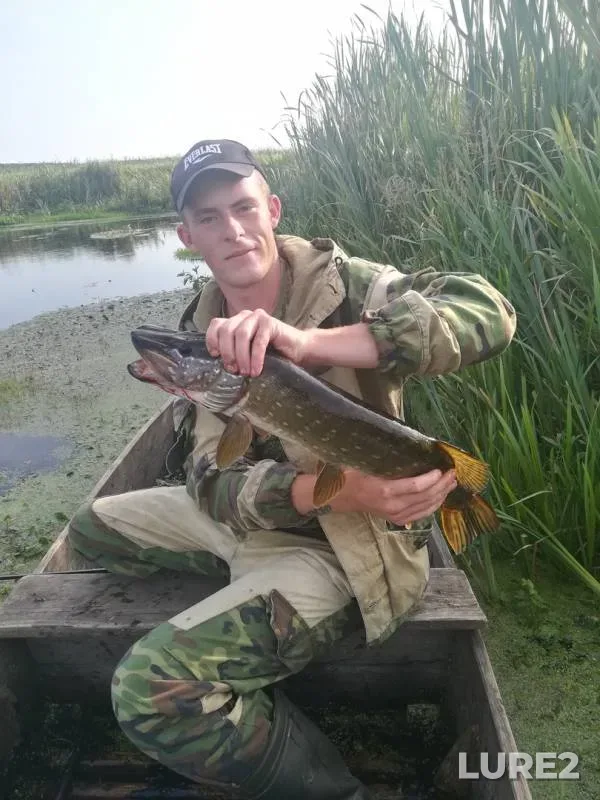 Pike — Myshanka, Sep 02, 2018