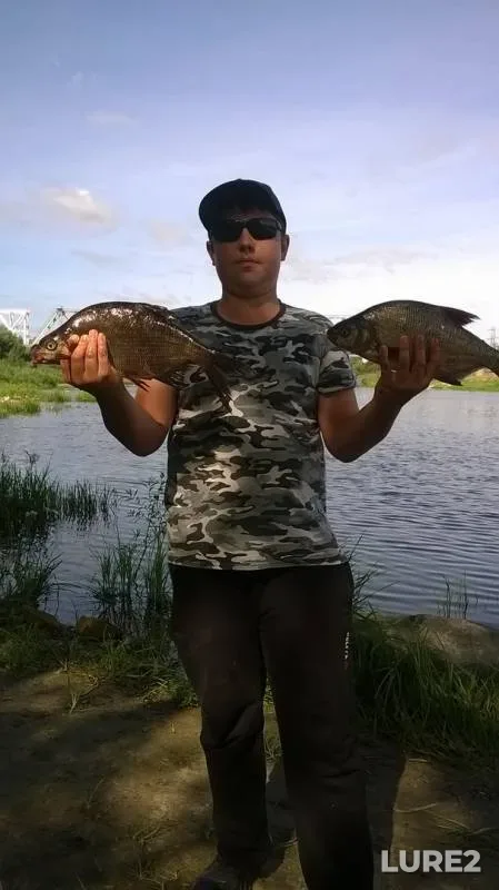 Bream — Brestskaya oblast, Stolinskiy rayon, Aug 08, 2018