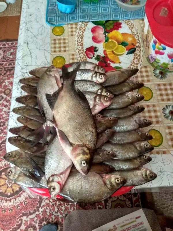 Лещ