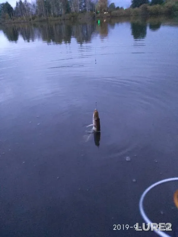Pike — Svisloch, Sep 19, 2019