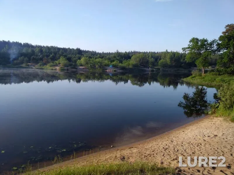 Perch — Berezina, Jun 09, 2019