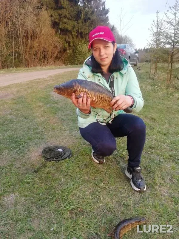 Carp — Guyka, Apr 21, 2019