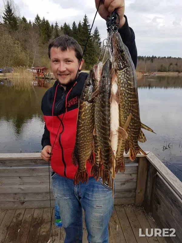 Pike — Guyka, Apr 20, 2019