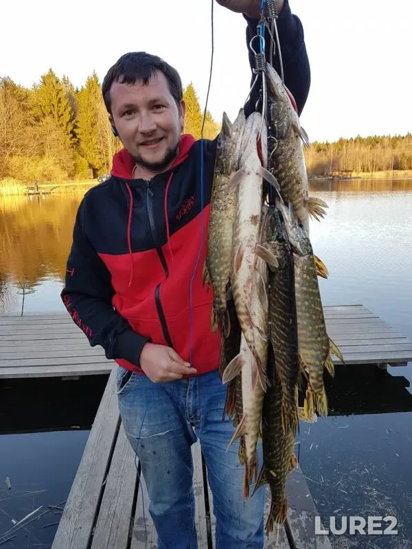 Pike — Guyka, Apr 18, 2019
