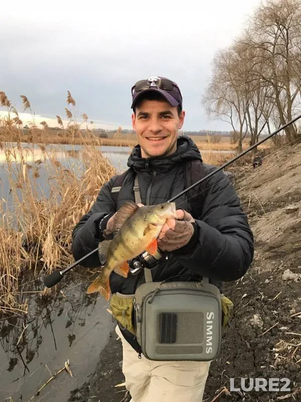 Perch, Pike — Chernіvetska oblast, Mar 05, 2017