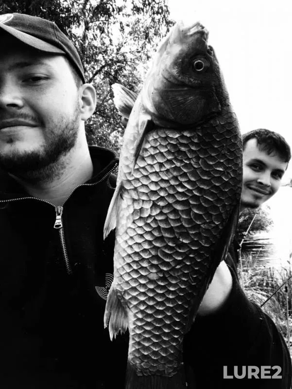 Crucian carp — Mokraya Sura, Jun 17, 2018