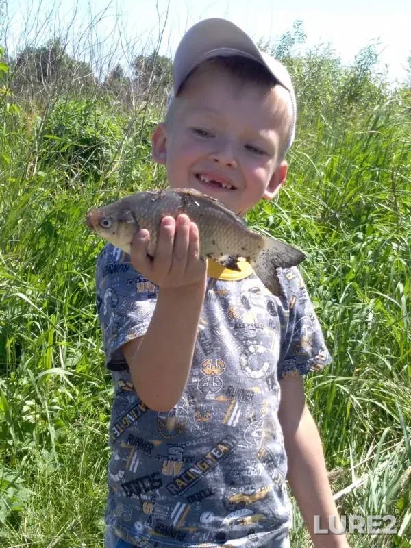 Crucian carp — Mokraya Sura, May 29, 2018