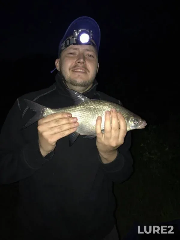 Bream — Mokraya Sura, May 04, 2018