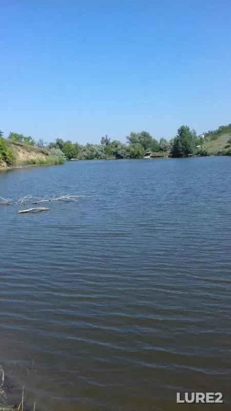 Carp — Dnіpropetrovska oblast, Aug 06, 2017