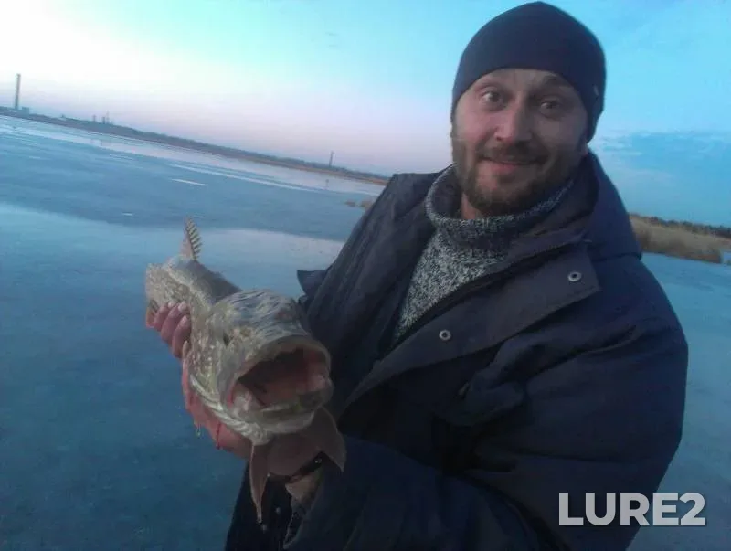 Pike — Dnіpropetrovska oblast, Feb 22, 2016