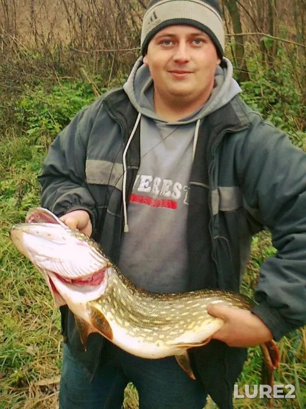 Pike — Dnіpropetrovska oblast, Kam'yanskiy rayon, Nov 04, 2012