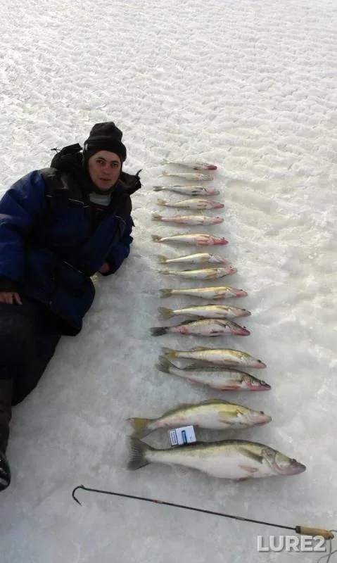 Zander — Respublika Tatarstan, Mar 23, 2014