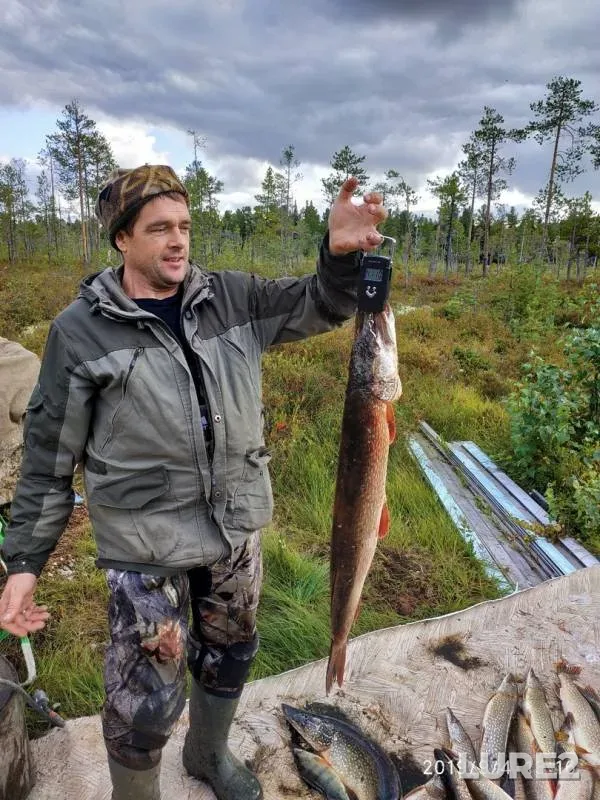 Pike — Pokhiyakha, Sep 06, 2019
