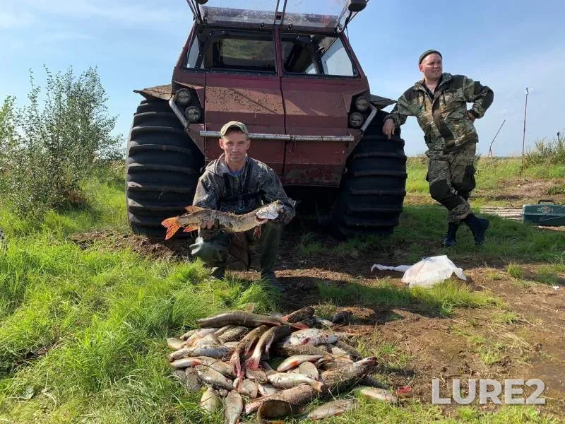 Perch, Pike — Tetu-Mamontotyay, Aug 14, 2019