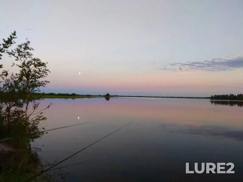 Pike — Khanty-Mansiyskiy avtonomnyy okrug — Yugra, Aug 07, 2019