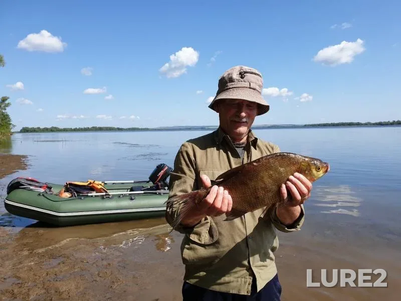 Bream — Volga, Aug 07, 2019